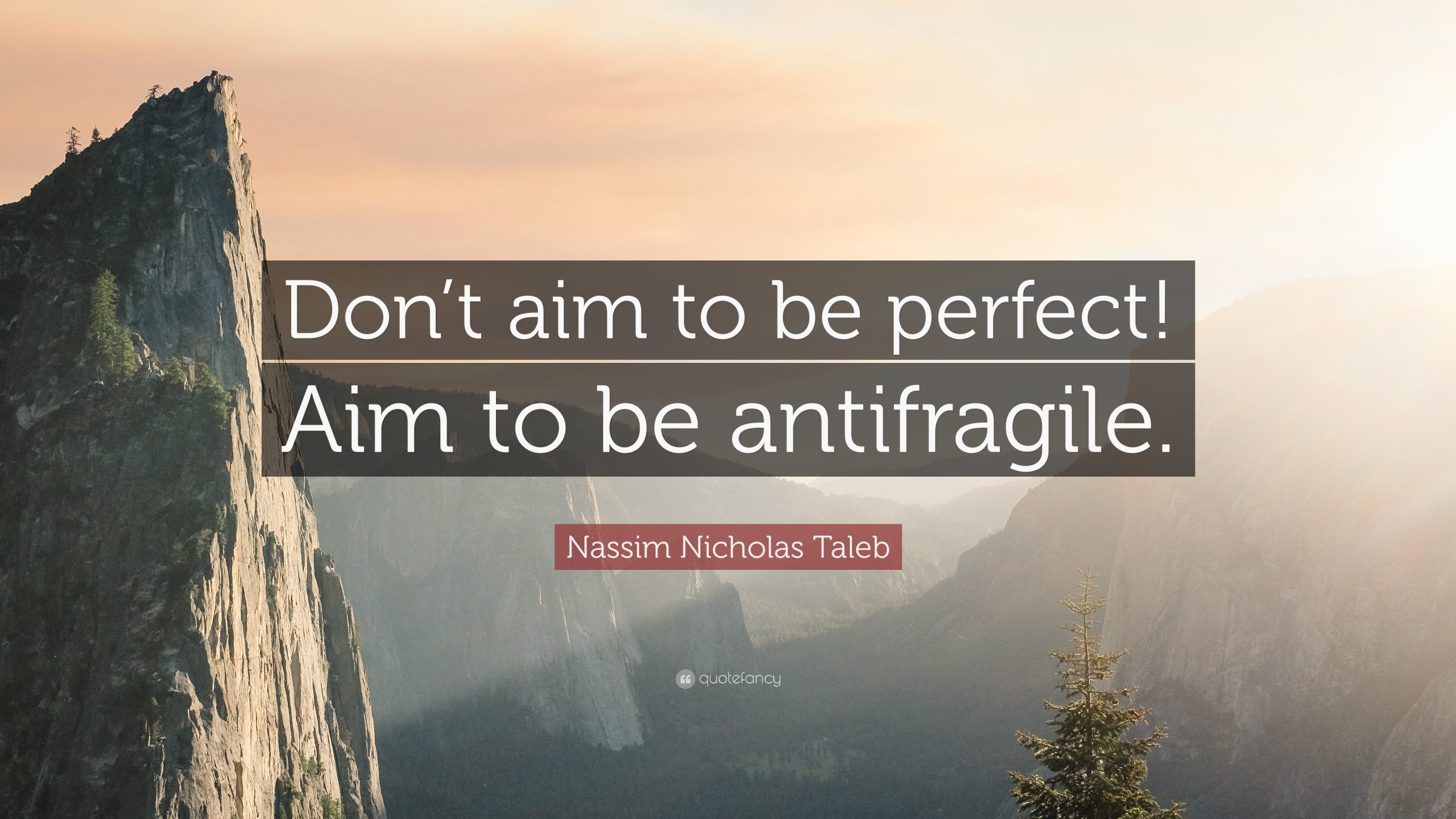 551549-Nassim-Nicholas-Taleb-Quote-Don-t-aim-to-be-perfect-Aim-to-be